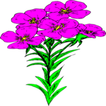 Flowers 336 Clip Art