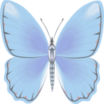 Butterfly 105 Clip Art