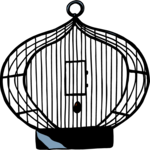 Bird Cage 1