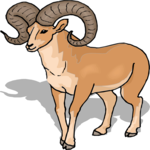 Sheep - Bighorn 6 Clip Art