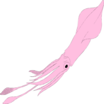Squid 04 Clip Art