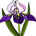 Flower 384 Clip Art