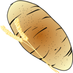 Potato 02 Clip Art