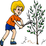 Boy Pruning Tree Clip Art