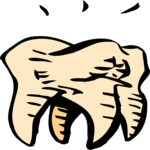 Tooth 1 Clip Art