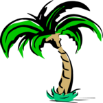 Palm Tree 51