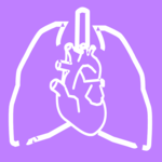 Heart & Lungs 3