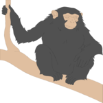 Chimp 02 Clip Art