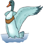 Duck 50 Clip Art