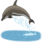 Dolphin 30 Clip Art