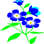 Forget Me Not Clip Art
