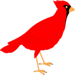 Cardinal 4 Clip Art