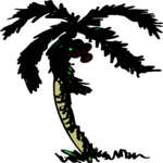 Palm Tree 49