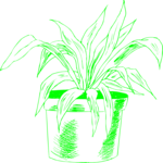 Plant 247 Clip Art