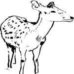 Deer 4 Clip Art