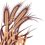 Wheat 10 Clip Art