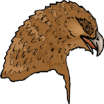 Eagle 70 Clip Art