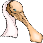 Spoonbill 2 Clip Art