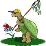 Turtle Catching Butterfly Clip Art
