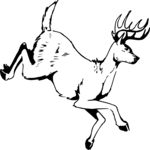 Deer 13 Clip Art