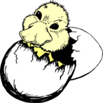 Duck Hatching 3 Clip Art