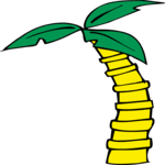Palm Tree 17