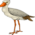 Bird 078 Clip Art