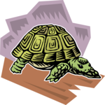 Tortoise 4 Clip Art
