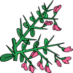 Flower 250 Clip Art