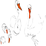 Swan Sketch Family Clip Art