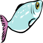 Sardine Clip Art