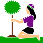 Planting Tree Clip Art