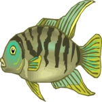 Cichlid - Convict Male Clip Art