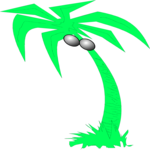 Palm Tree 29