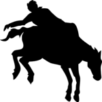 Rodeo Cowboy 3