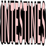 Intestines - Title Clip Art