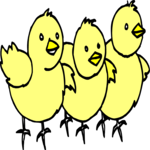 Chicks 3 Clip Art