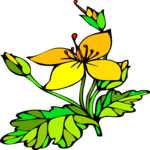 Great Yellow Gentian Clip Art