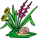 Flower with Snail Clip Art