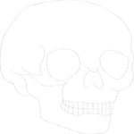 Skull 06