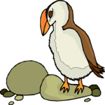 Puffin 10 Clip Art