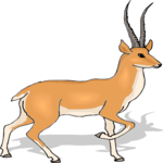 Antelope 44 Clip Art