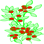 Plant 067 Clip Art