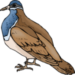 Dove 07 Clip Art