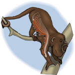 Monkey - Howler 2 Clip Art