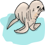 Seal - Pup Clip Art