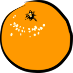 Orange 02 Clip Art
