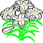 Easter Lily 1 Clip Art