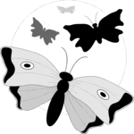 Butterflies 2 Clip Art