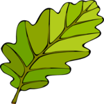Leaf 107